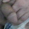 ovin7866