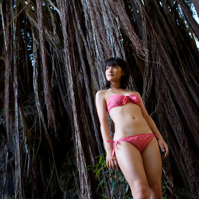 All Gravure - Camping
