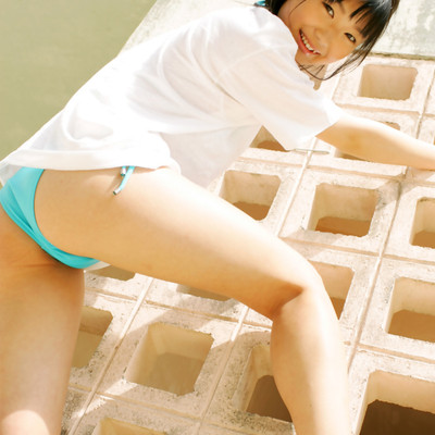All Gravure - Tropical