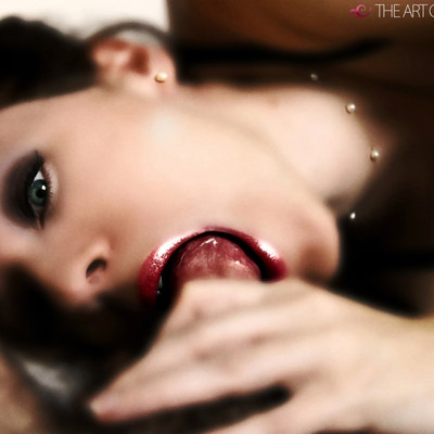 The Art Of Blowjob Porn - Luscious Lips Blowjob